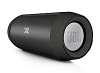 Charge 2 Black from JBL